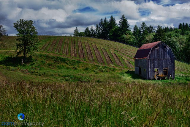 Photographing the Colene Clemens Winery Barn in Newberg,&nbsp;OR