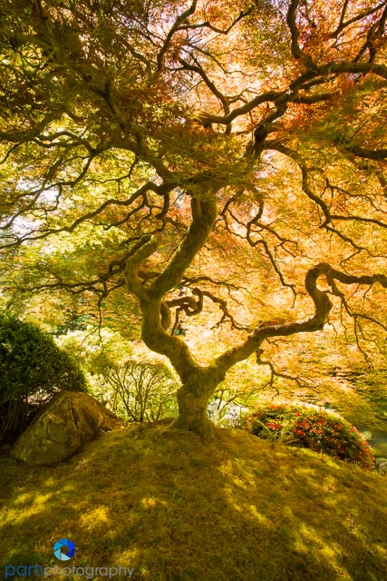 Don't forget to try portrait orientation, too