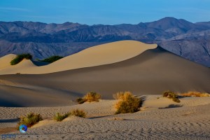 1304_PSA_Death Valley_0131-Edit-Edit-Edit-Edit