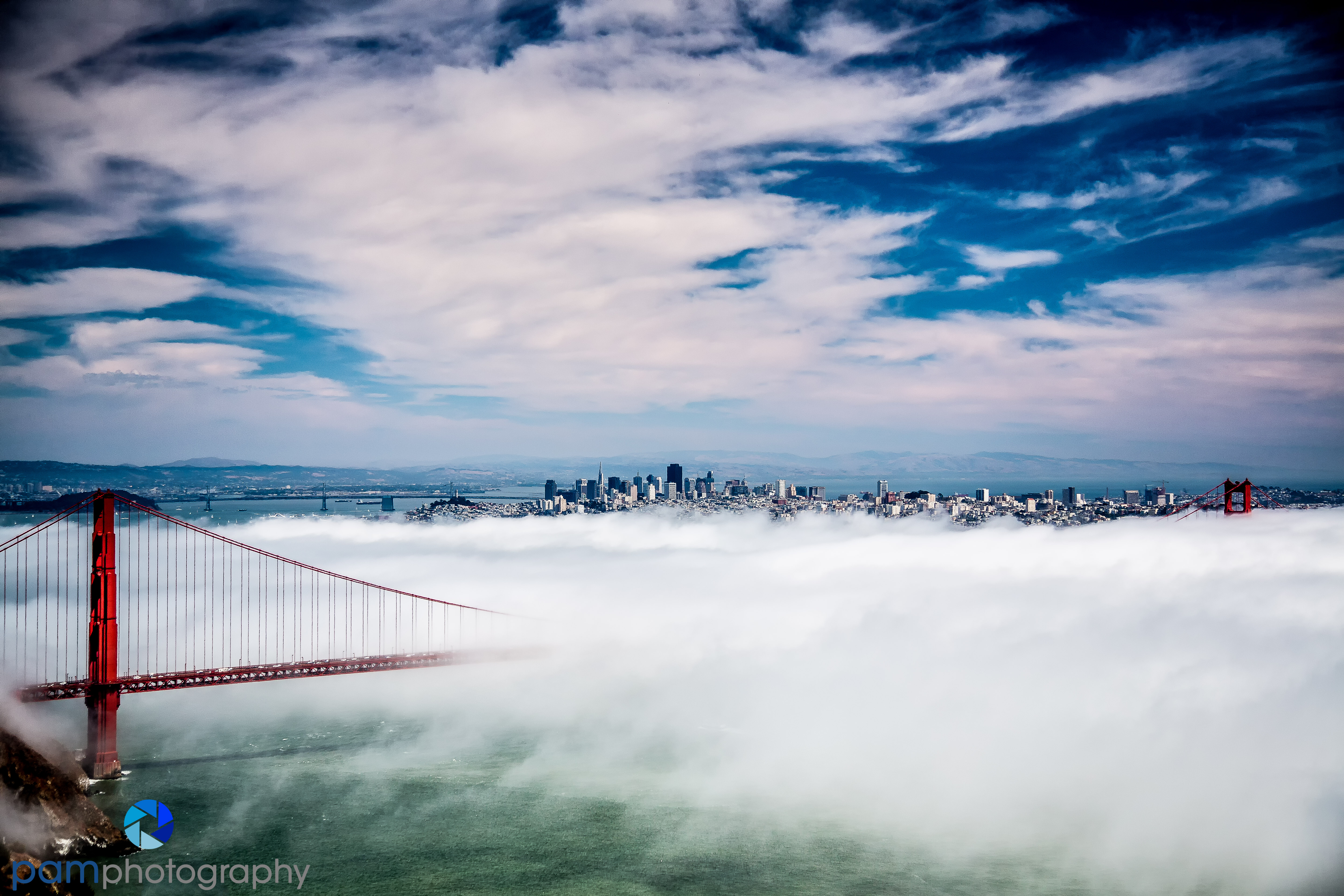 In this one I used Photographt Plant HDR. It is a bit over cookedf