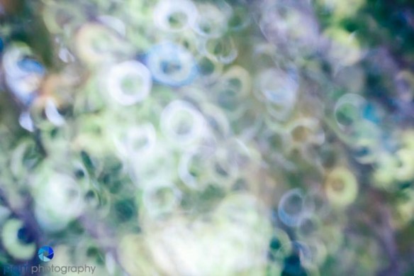 1309_MFA_Sierra_0045-Edit