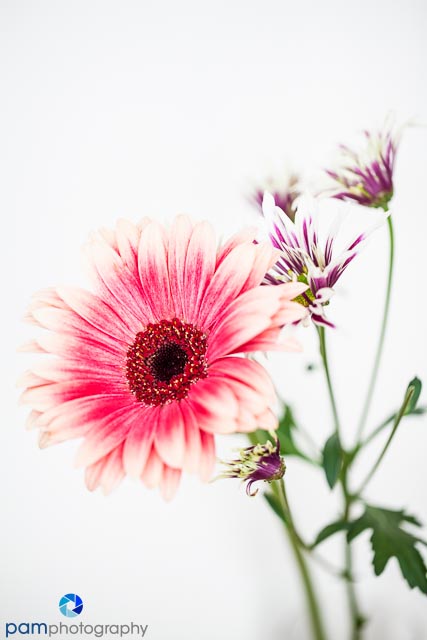 1310_MFA_Flowers_008