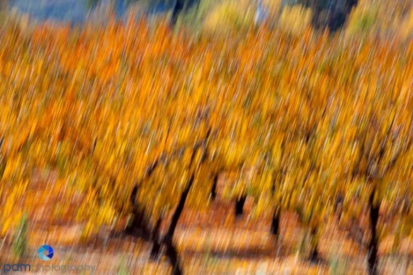 1311_MFA_Napa_103-Edit