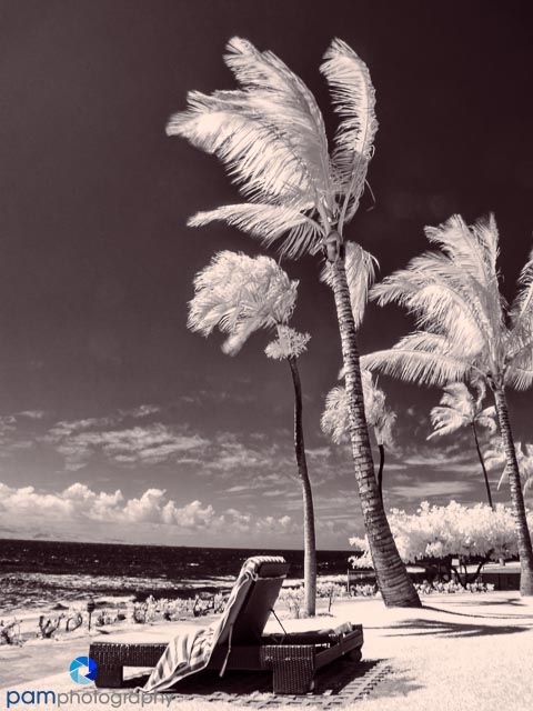 1306_MFA_Hawaii_042-Edit-2