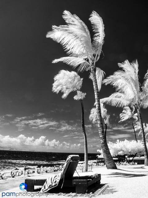 1306_MFA_Hawaii_042-Edit-3