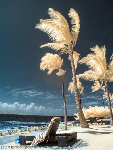 1306_MFA_Hawaii_042-Edit