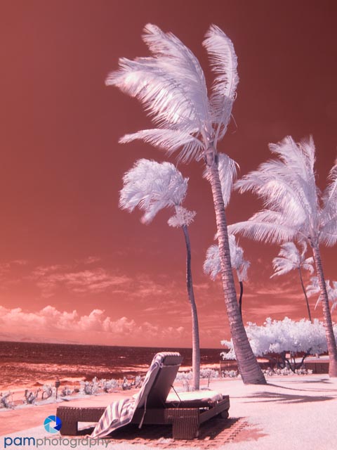 1306_PSA_untitled_001