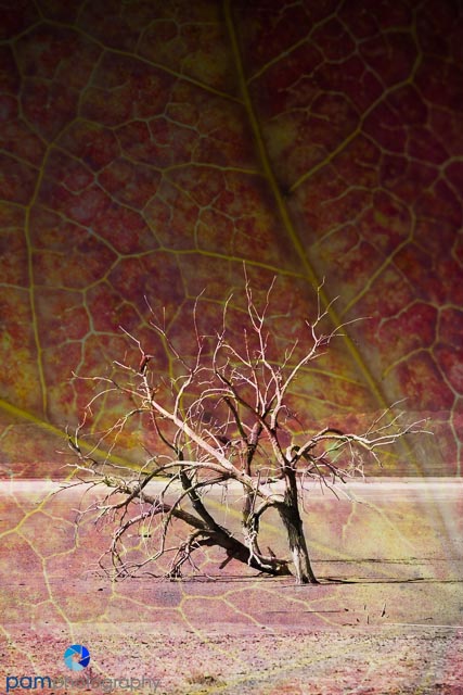 1310_PSA_Salton Sea Infrared_009-Edit-Edit