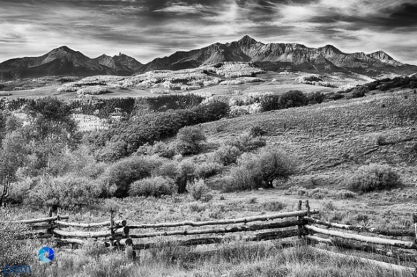 1209_MFA_mini_circle_157-Edit-Edit-Edit