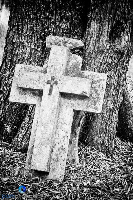 1312_MFA_CA Coast_107-Edit