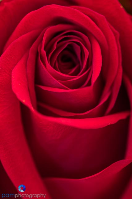 1402_PSA_untitled_106