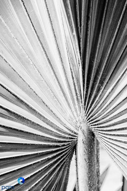 1402_MFA_San Diego_094-Edit