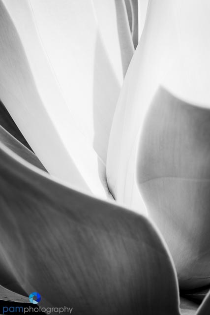 1402_MFA_San Diego_110-Edit