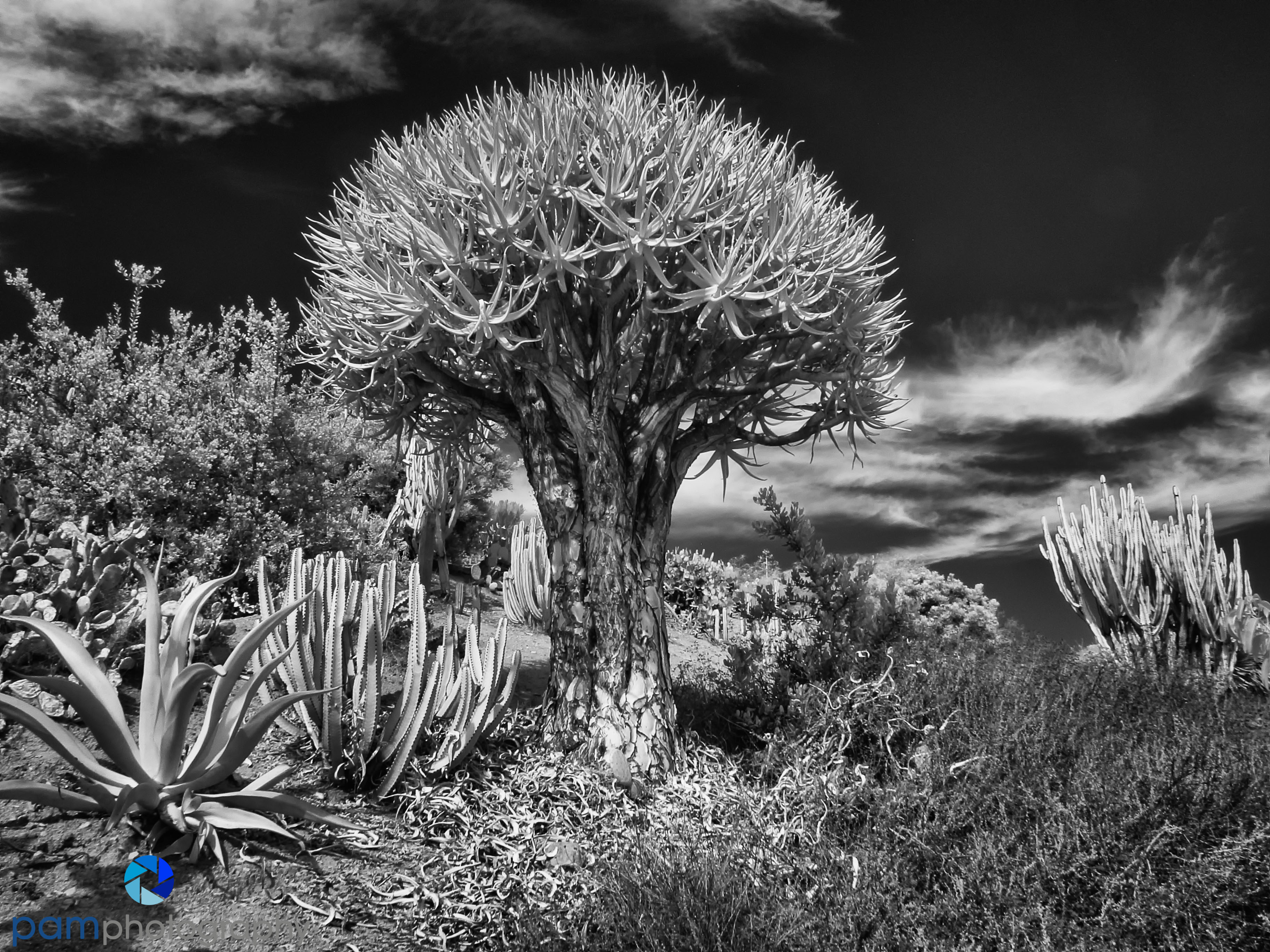 1402_PSA_San Diego_075-Edit