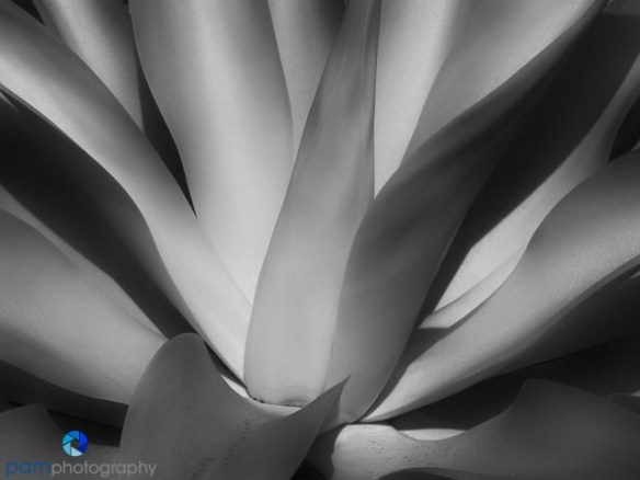 1402_PSA_San Diego_079-Edit