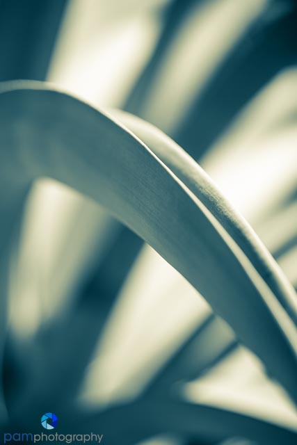 1404_MFA_Arboretum_106