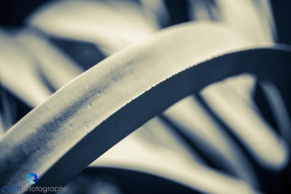 1404_MFA_Arboretum_112