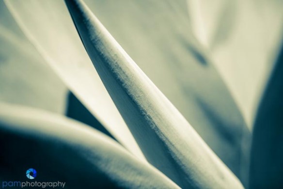 1404_MFA_Arboretum_115