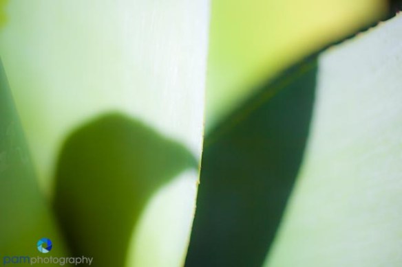 1404_MFA_Arboretum_121