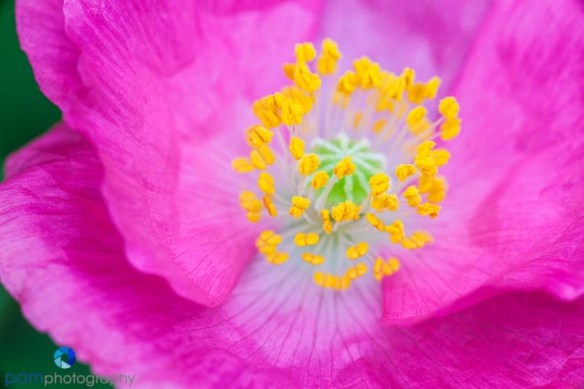 1404_MFA_Flowers_023-Edit