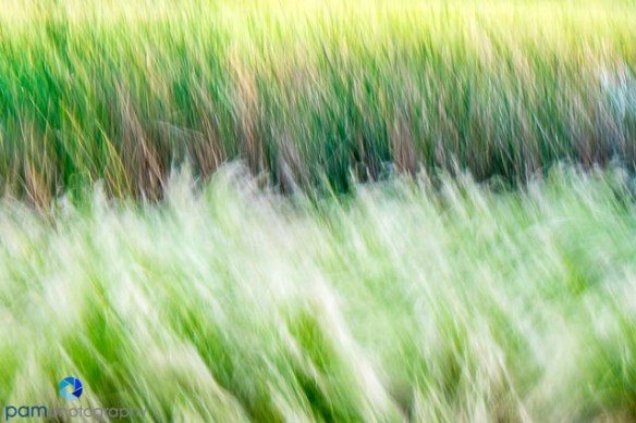 1405_MFA_DU Abstracts_018