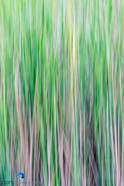 1405_MFA_DU Abstracts_052