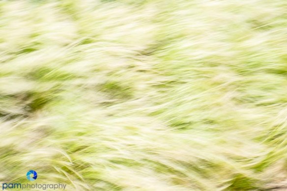 1405_MFA_DU Abstracts_196