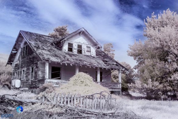 1406_MFA_Palouse Infrared_0047-Edit