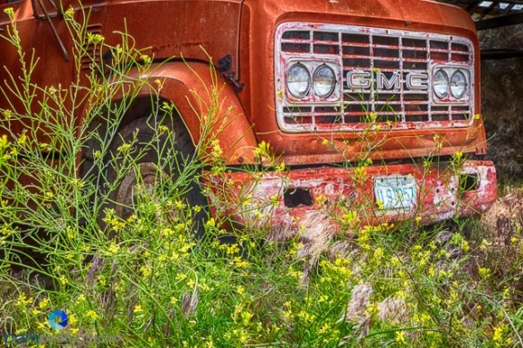1406_MFA_Palouse_0316_HDR