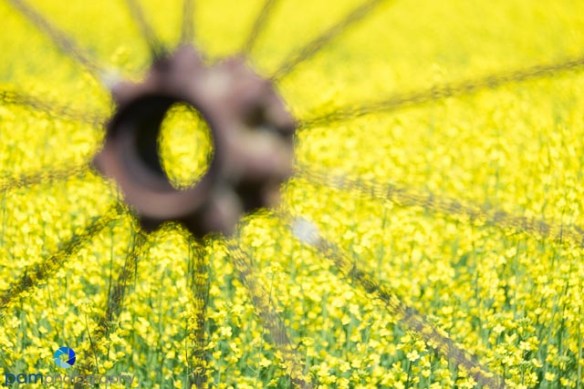 1406_MFA_Palouse_0857