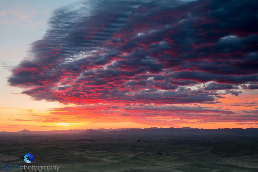 Photographing the Palouse from Steptoe&nbsp;Butte