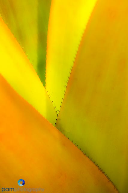 1405_MFA_Denver_068-Edit