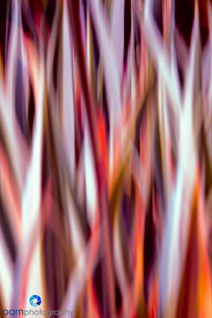 1405_MFA_Denver_171-Edit