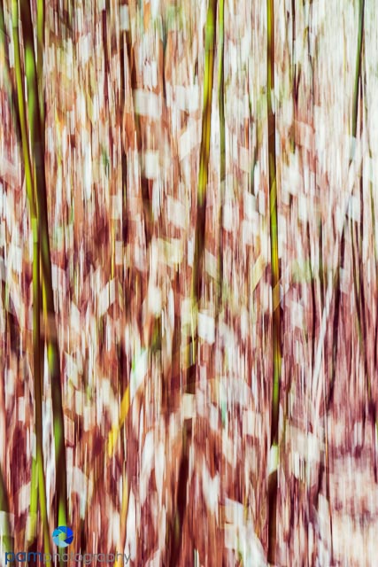 1405_MFA_Denver_183-Edit