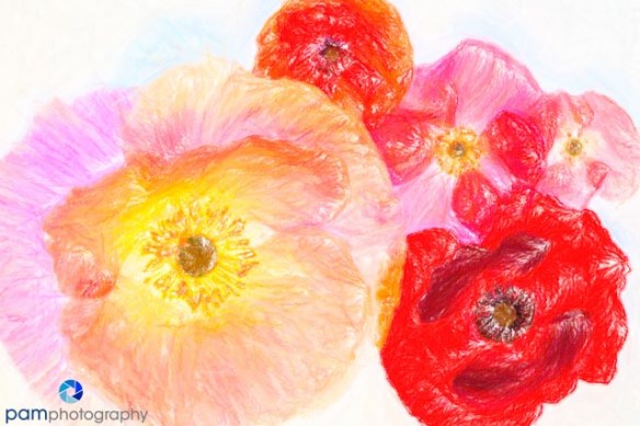 1405_MFA_Flowers_019-Edit