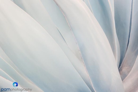 1407_MFA_Huntington Infrared_048-Edit