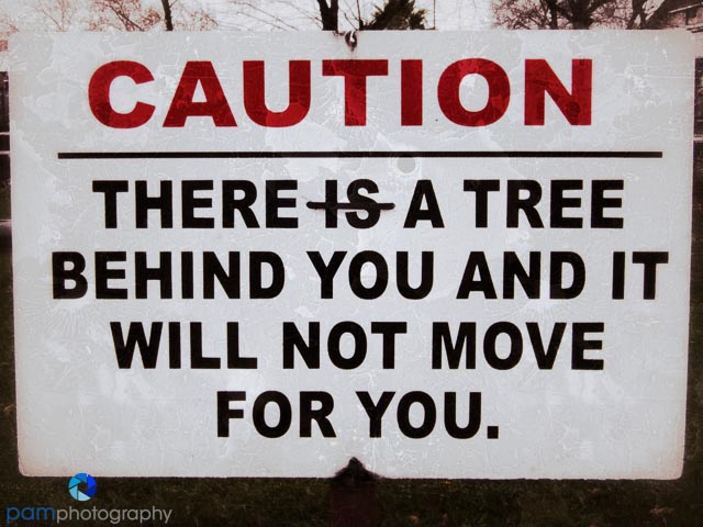 Photography Project:  Photographing silly&nbsp;signs