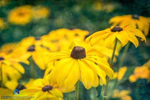 1407_MFA_Huntington_002-Edit