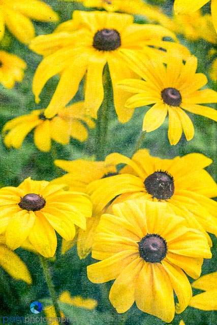 1407_MFA_Huntington_007-Edit