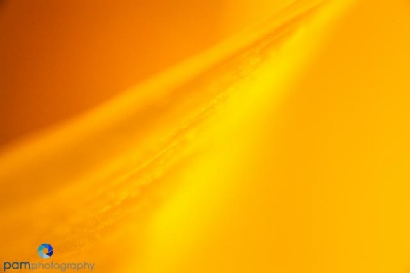 1408_MFA_Abstracts_069