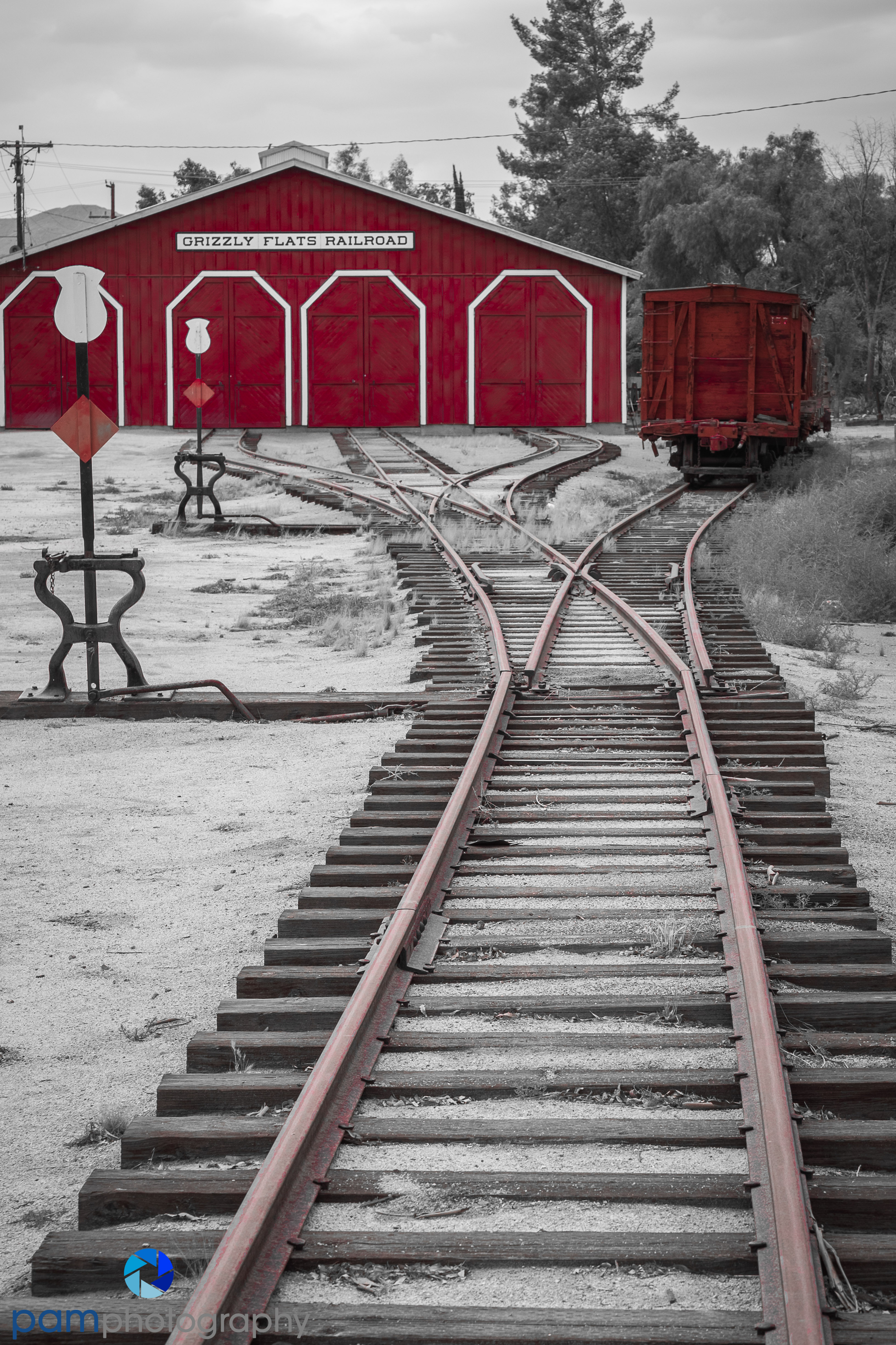 Black and White with color painted back in