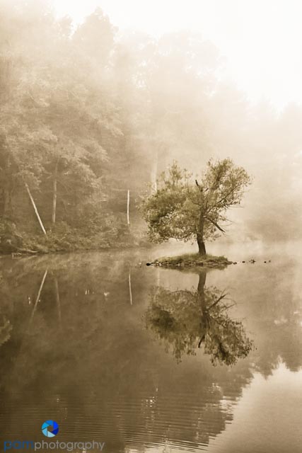 Color Efex Pro Black Gold