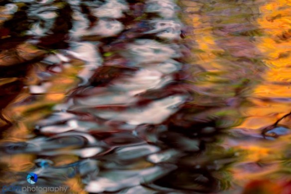 1410_MFA_Vermont_017-Edit