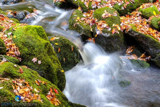 1 second at f/11. The highlights are too bright and the water is too blurry