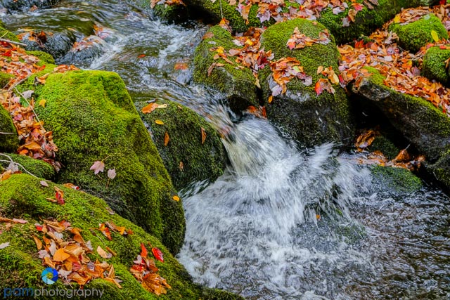 1/20 a second at f/4.