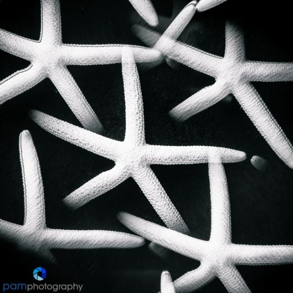 1409_MFA_virgina_135