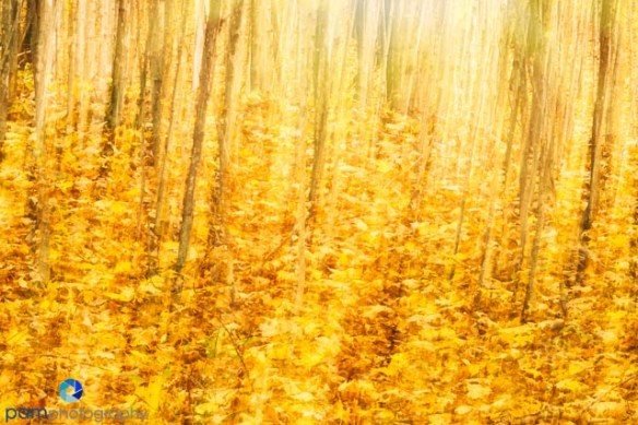 1410_MFA_Vermont_073-Edit