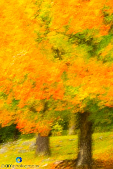 Photography Project – Intentional Camera Movement&nbsp;(ICM)