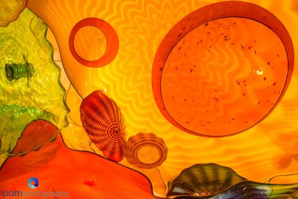 1411_MFA_Oklahoma_009