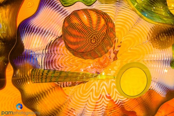 1411_MFA_Oklahoma_010